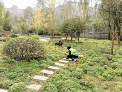 兰考县园林绿化服务中心:扎实做好秋季绿化养护管理工作